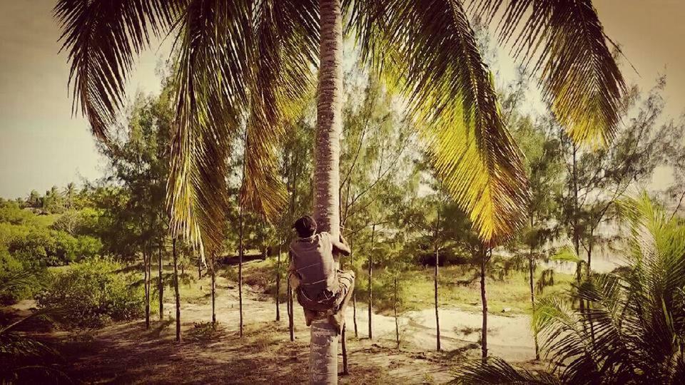 Kilwa